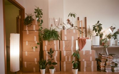 Navigating the Busy Season: Tips for a Smooth Fort Lauderdale Move During Peak Times