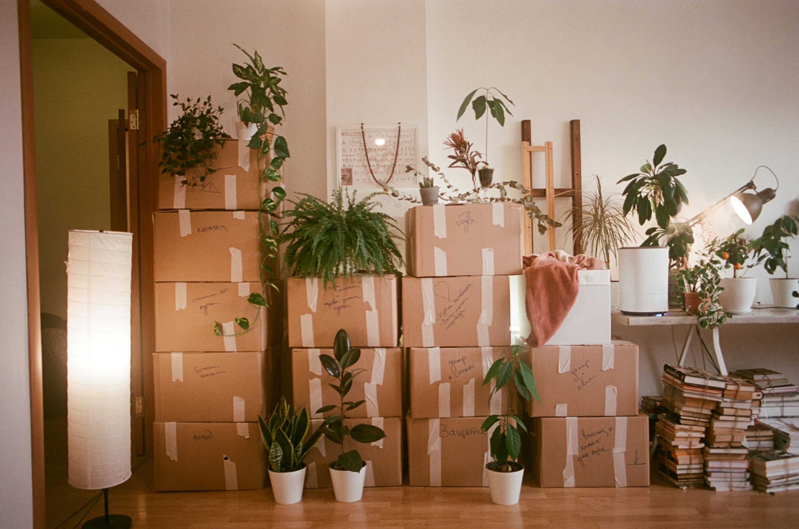 Navigating the Busy Season: Tips for a Smooth Fort Lauderdale Move During Peak Times